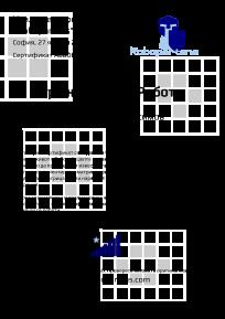 Robotics Game of Life, For participation in the Robotic Game Of Life course of Robopartans