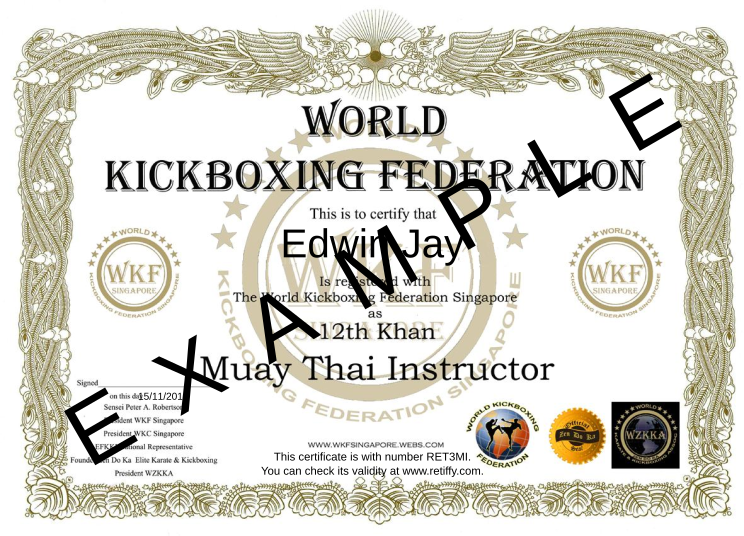 Retiffy certificate RET3MI issued to Edwin Jay from template World Kickboxing Federation with values,template:World Kickboxing Federation,name:Edwin Jay,date:15/11/2011