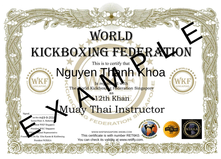 Retiffy certificate RET6K0 issued to Nguyen Thanh Khoa from template World Kickboxing Federation with values,template:World Kickboxing Federation,name:Nguyen Thanh Khoa,date:19-9-2010