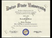 Boise State University Online Training, This is an example certificate issued by Boise State University for graduation in Online training