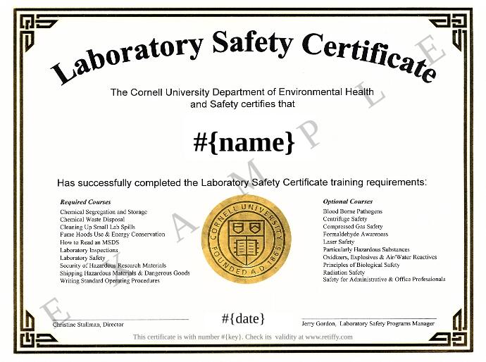 safety certificate template